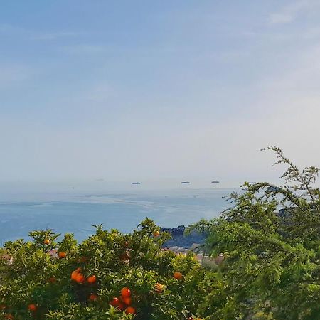 Ai Canarbin - Colline Di ليريسي المظهر الخارجي الصورة